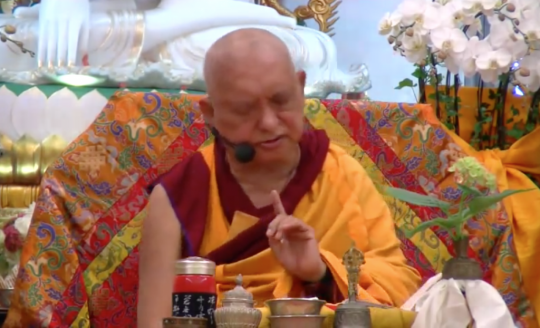 Rinpoche Available Now