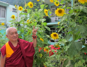 Rinpoche Sends His Thanks for Practices Done