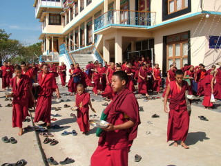 Monks at Sera Je Monastery after lunch sponsored by the Sera Je Food Fund. 