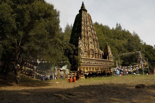 Land of Medicine Buddha will be building a Mahabodhi stupa, dedicated to the promotion of peace. 