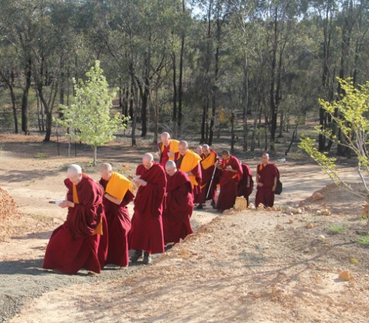 Sangha in procession leading Lama Zopa Rinpoche to the Great Stupa of Universal Compassion, September 2014. Photo by Drolkar McCallum.