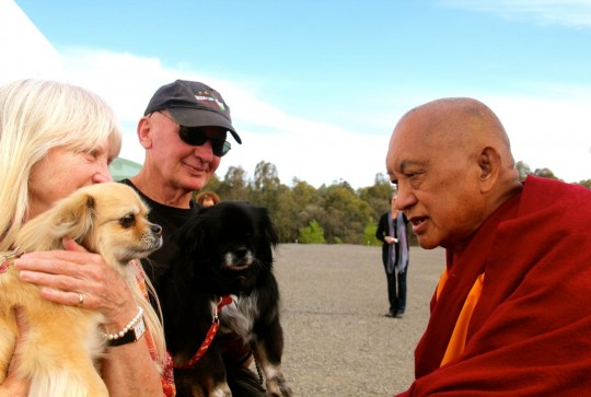 Lama Zopa Rinpoche blessing the dogs Nyingdu and Chonyi outside of the Great Stupa of Universal Compassion, Australia, October 2014. Photo by Drolkar McCallum.