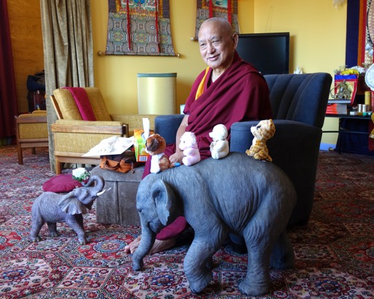 Lama Zopa Rinpoche in his room at Thubten Shedrup Ling, Australia, October 2014. Photo by Ven. Roger Kunsang.