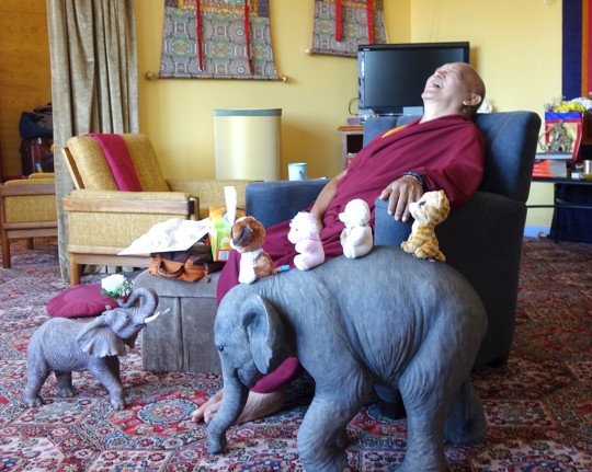 Lama Zopa Rinpoche in his room at Thubten Shedrup Ling, Australia, October 2014. Photo by Ven. Roger Kunsang.