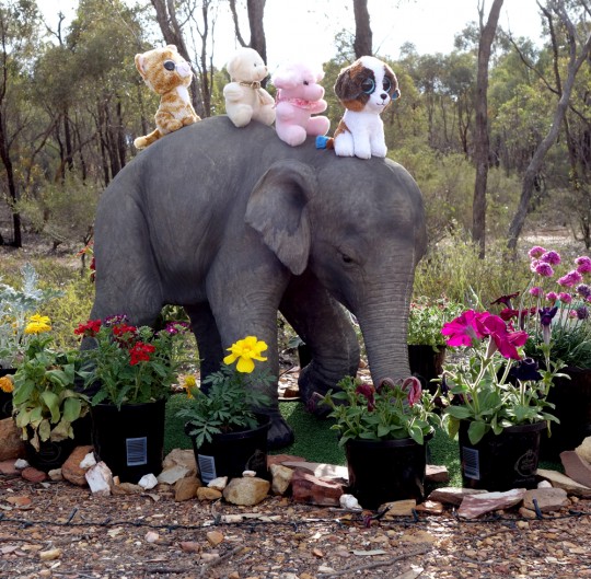 Elephant with friends and offerings near the Great Stupa of Universal Compassion, Australia, October 2014. Photo by Ven. Roger Kunsang.