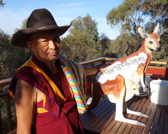 Lama Zopa Rinpoche in Oz, Thubten Shedrup Ling Monastery, Bendigo, Australia, October 2014. Photo by Ven. Roger Kunsang.