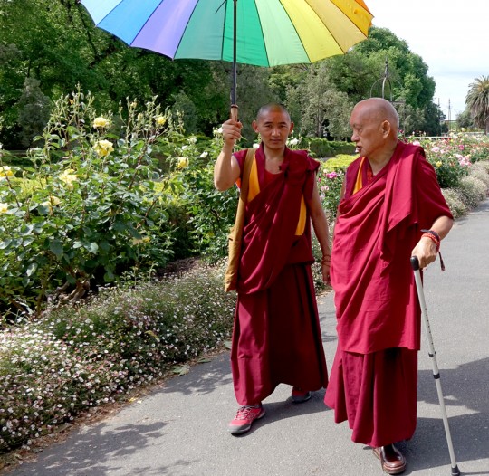 Lama Zopa Rinpoche visiting a park in Bendigo, Australia, October 2014. Photo by Ven. Roger Kunsang.