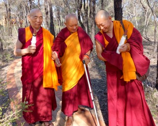 Online Video of Lama Zopa Rinpoche in Australia