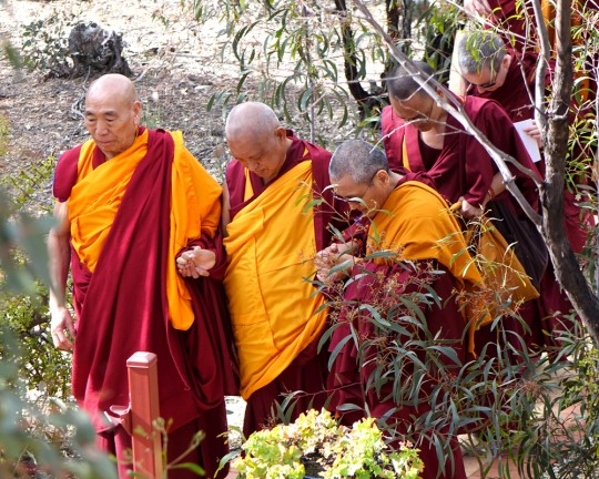 Lama Zopa Rinpoche with Geshe Doga and Khen Rinpoche Geshe Chonyi returning to Thubten Shedrup Ling from the Great Stupa of Universal Compassion while being mindful of the ants, Australia, September 2014. Photo by Ven. Roger Kunsang.