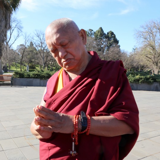Lama Zopa Rinpoche in Bendigo, Victoria, Australia, September 2014. Photo by Ven. Thubten Kunsang.