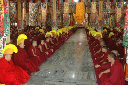 The monks of Sera Je Monastery offering extensive Medicine Buddha puja. 