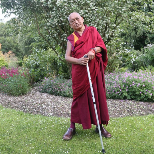 Lama Zopa Rinpoche visiting a park in Leeds, UK, July 2014. Photo by Ven. Thubten Kunsang.