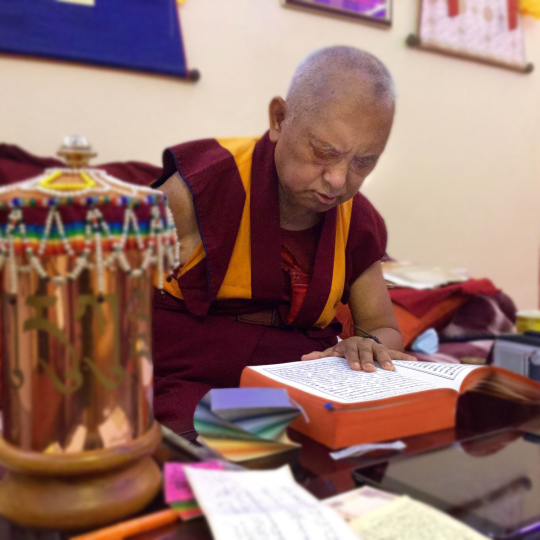 Lama Zopa Rinpoche reciting the Sutra of Golden Light for long-time student Anila Ann McNeil, who passed away February 2015, Bodhgaya, India. Photo by Ven. Sarah Thresher.