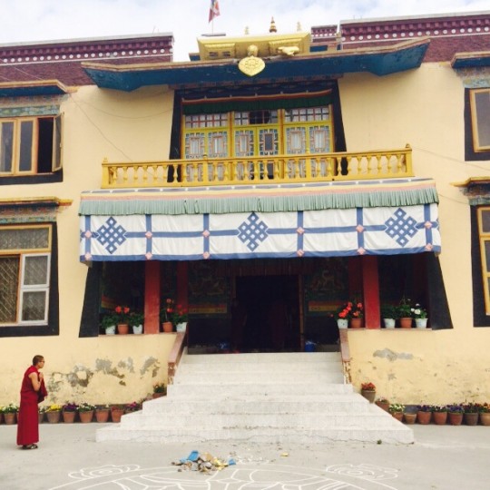Kopan Nunnery, Nepal, April 27, 2015. Photo by Ven. Sangpo Sherpa.