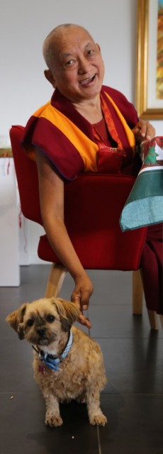 Lama Zopa Rinpoche with canine friend, Adelaide, Australia, May 2015. Photo by Ven. Thubten  Kunsang.
