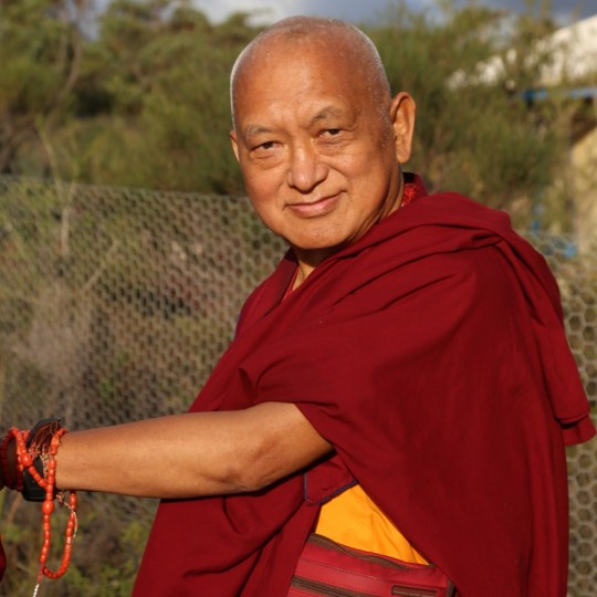 Lama Zopa Rinpoche, De-Tong Ling Retreat Centre, Kangaroo Island, Australia, May 2015. Photo by Ven. Thubten Kunsang.