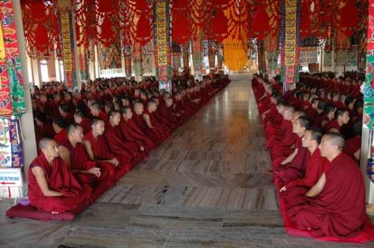 The monks of Sera Je Monastery offering puja. 