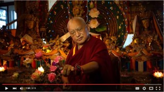 Real Buddhism Is to Not Harm Others [VIDEO]