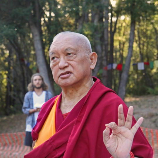 Lama Zopa Rinpoche at Land of Medicine Buddha, California, US, October 2015. Photo by Ven. Lobsang Sherab.