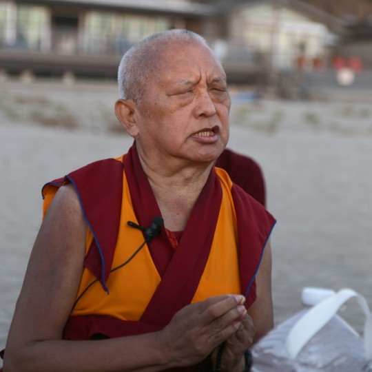 Lama Zopa Rinpoche on the beach in California, November 2015. Photo by Ven. Thubten Kunsang.