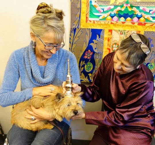 Martha Cabral blesses dog, Sedona, Arizona, US, December 2015. Photo via Maitreya Loving Kindness Tour's Facebook page.