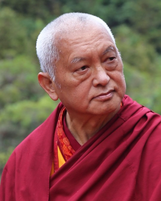 Lama Zopa Rinpoche, New Zealand, May 2015. Photo by Ven. Thubten Kunsang.