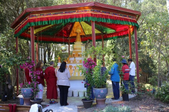 During the animal liberation, the sentient beings are circumambulated around holy objects and extensive prayers and dedications are made for Lama Zopa Rinpoche, his gurus, all sponsors of this fund, all beings who are sick or face an untimely death, as well as many specific dedications requested by the FPMT community.