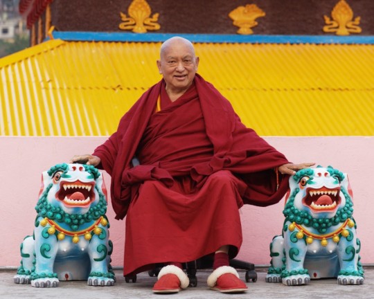 Lama Zopa Rinpoche in Tso Pema, India, February 2016. Photo by Ven. Lobsang Sherab.