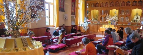 Release recitation of Institut Vajra Yogini's newest French-language edition of the Golden Light Sutra, Marzens, France, March 2015. Photo courtesy of IVY.