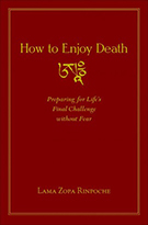 How-to-Enjoy-Death-320x485