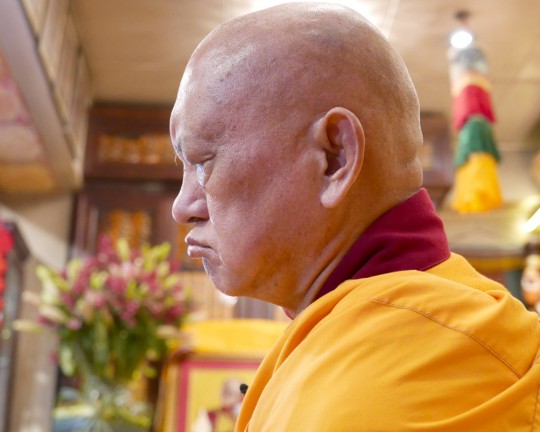 Lama Zopa Rinpoche at Cham Tse Ling, Hong Kong, April 2016. Photo by Ven. Roger Kunsang.