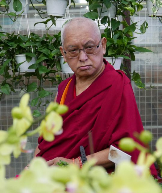 Lama Zopa Rinpoche shopping for flowers, Taiwan, May 2016. Photo by Ven. Roger Kunsang.