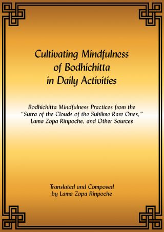 New! Cultivating Mindfulness of Bodhichitta in Daily Activities