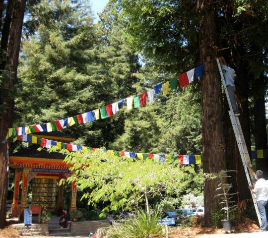 Hanging prayer flags at Land of Medicine Buddha, August 21, 2013. Photo courtesy of LMB’s Facebook page.