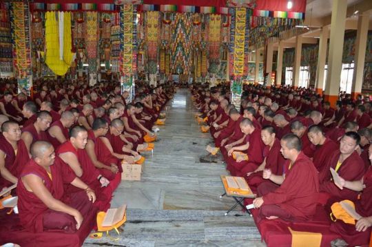 Monks of Sera Je Monastery performing puja together. 