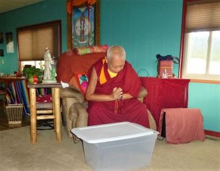 Snake Does Three-Week Retreat with Lama Zopa Rinpoche
