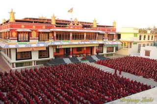 Annual Winter Jang Debate at Drepung Monastery, India