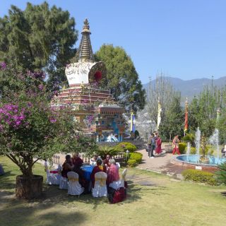Thubten Rigsel Rinpoche Enthroned at Kopan Monastery