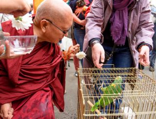 Lama Zopa Rinpoche Blesses Animals in Russia