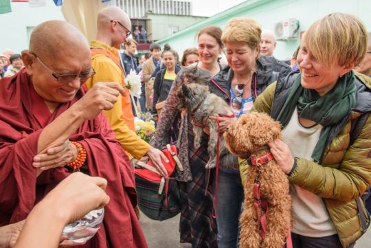 lama zopa rinpoche blessing dogs