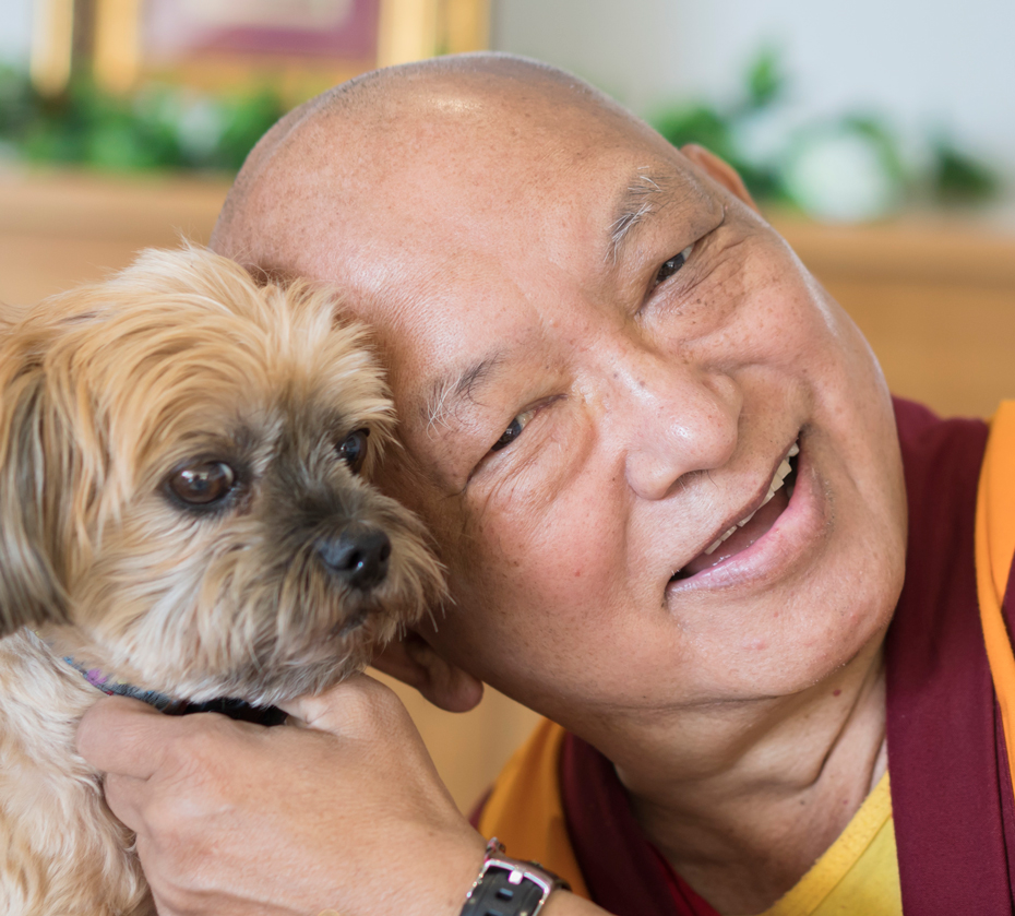 lama-zopa-rinpoche-and-dog-mahamudra-adelaide-201805