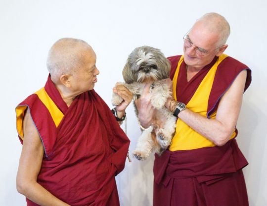 lama-zopa-rinpoche-and-venerable-roger-kunsang-with-small-dog-belonging-to-lara-gatto-photo-taken-at-iltk-pisa-italy-nov-2017-by-venerable-lobsang-sherab