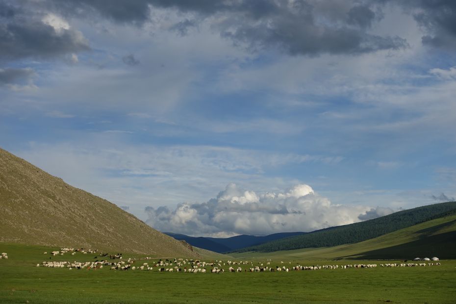 a-valley-with-grazing-animals-and-blue-sky-with-clouds-in-mongolia-while-on-a-pilgrimage-organized-by-ganden-do-ngag-shedrup-ling-august-2018-photo-by-ianzhina-bartanova