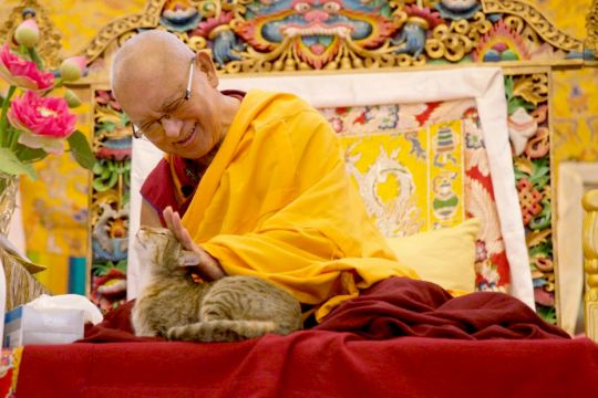 lama-zopa-rinpoche-petting-shamatha-the-cat-at-kopan-kathmandu-nepal-december-2018-by-bill-kane