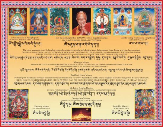 Take a Look! Printed Dharma Cards and Posters