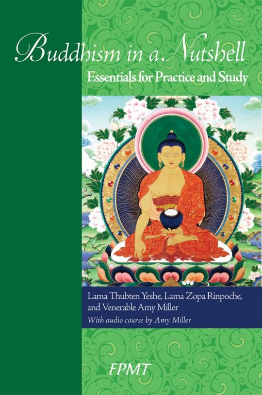 Take a Look! Buddhism in a Nutshell: Essentials for Practice and Study