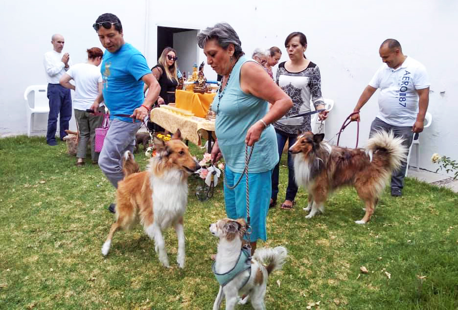 People with dogs on leashes walking in a circle around a table covered with Buddhist objects outside in the grass