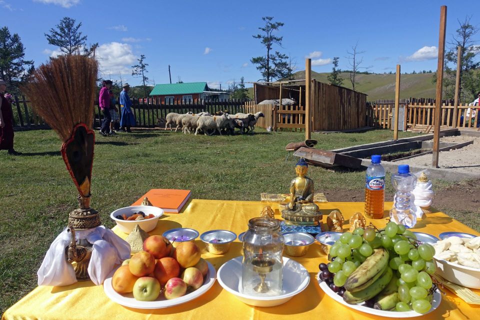 A small herd of goats and sheep walking in a field inside of a fence with a table covered with a yellow cloth holy objects and offerings in the center of the field.