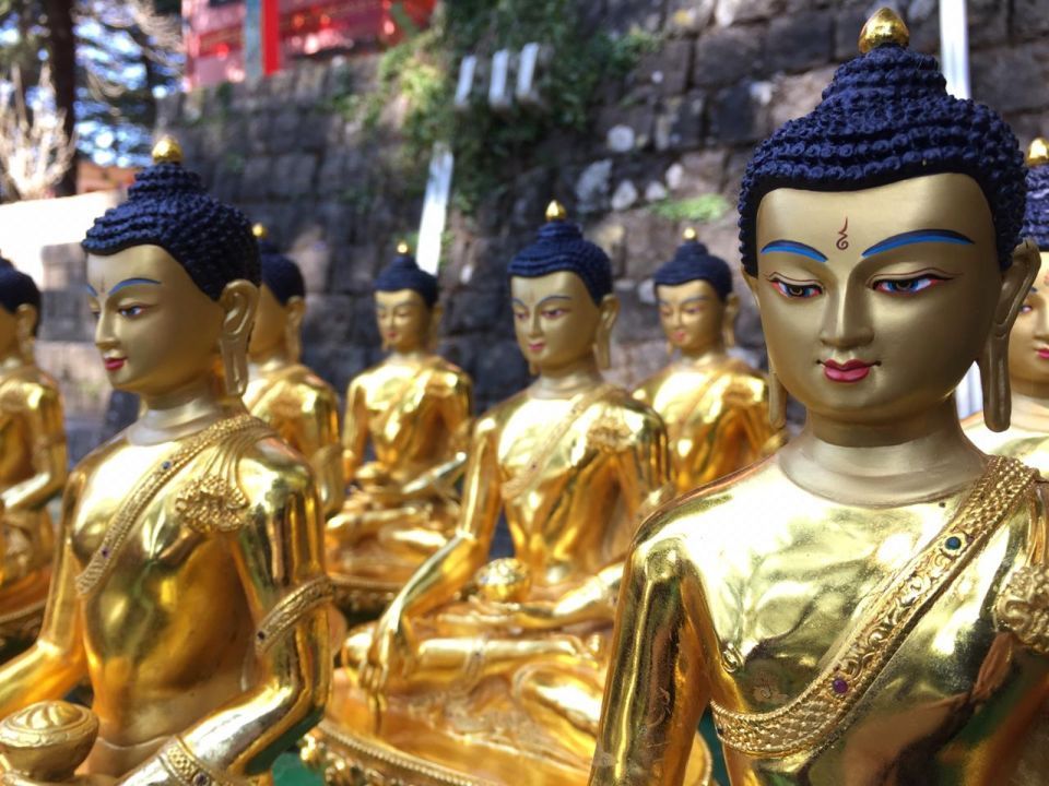 Some of the 1,000 statues of Shakyamuni Buddha that will be offered to His Holiness the Dalai Lama on behalf of the entire FPMT organization.