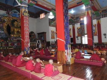 Meals Offered to Shalu Monastery for the Third Consecutive Year